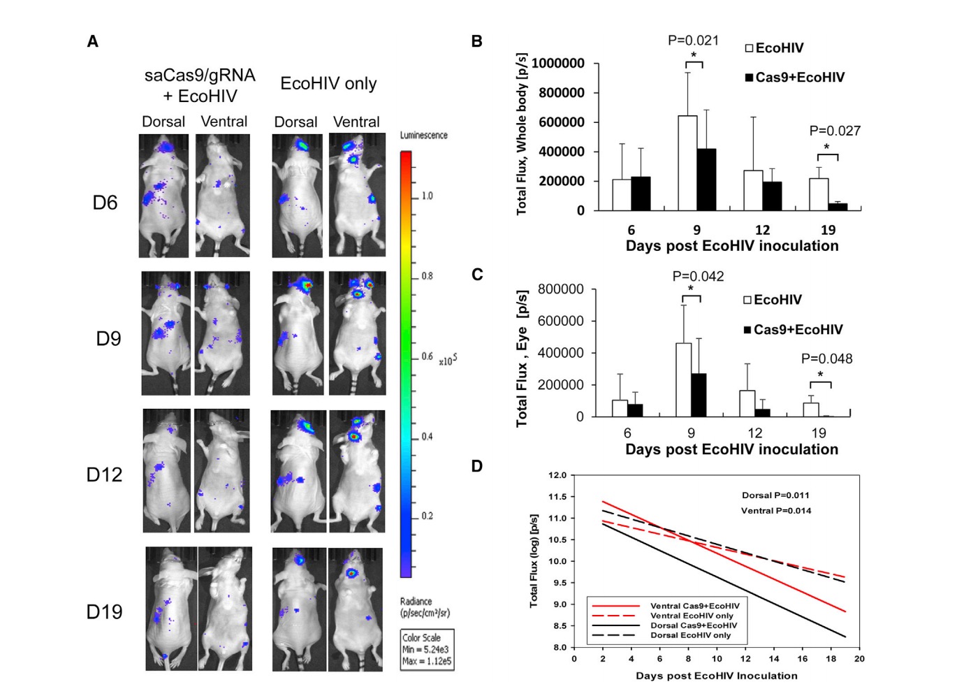 Screen Shot 2017-05-04 at 12.17.01 PM.jpg